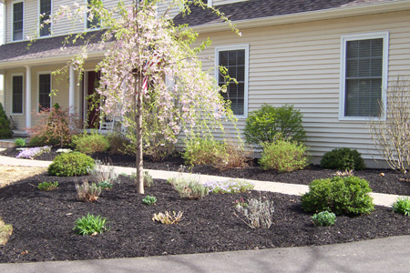 Cutting Edge Landscaping, LLC Photo Gallery